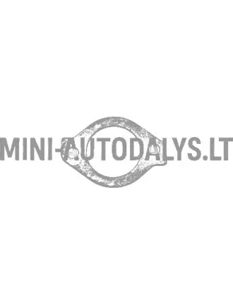 Termostato korpuso tarpiklis Yanmar