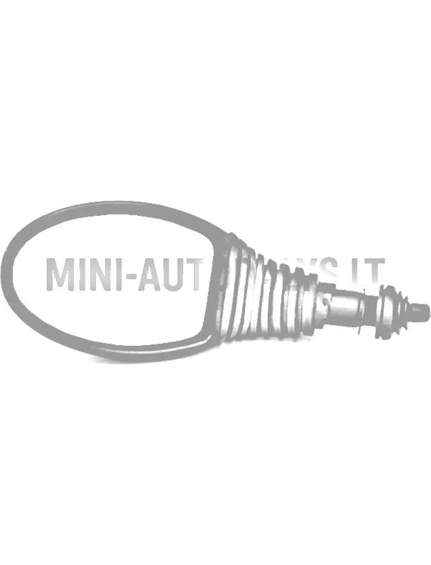 Išorinis veidrodėlis kairėje Microcar / Ligier / Casalini / Chatenet