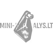 Kapoto dangčio lankstas dešinėje Aixam 1997-2012 m.