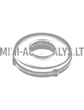 Žiedo viršus variomatinis (1-asis modelis)