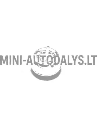 Šildytuvo rankenėlė Aixam 2008-2010 (Chrome)