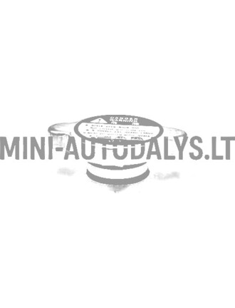 Radiatoriaus dangtelis Microcar / JDM