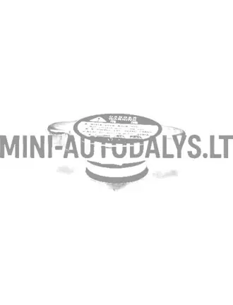 Radiatoriaus dangtelis Microcar / JDM