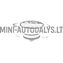 Radiatoriaus dangtelis Microcar / JDM