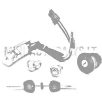 Uždegimo spynelės rinkinys Ligier / Microcar / Due (2 žvakės)