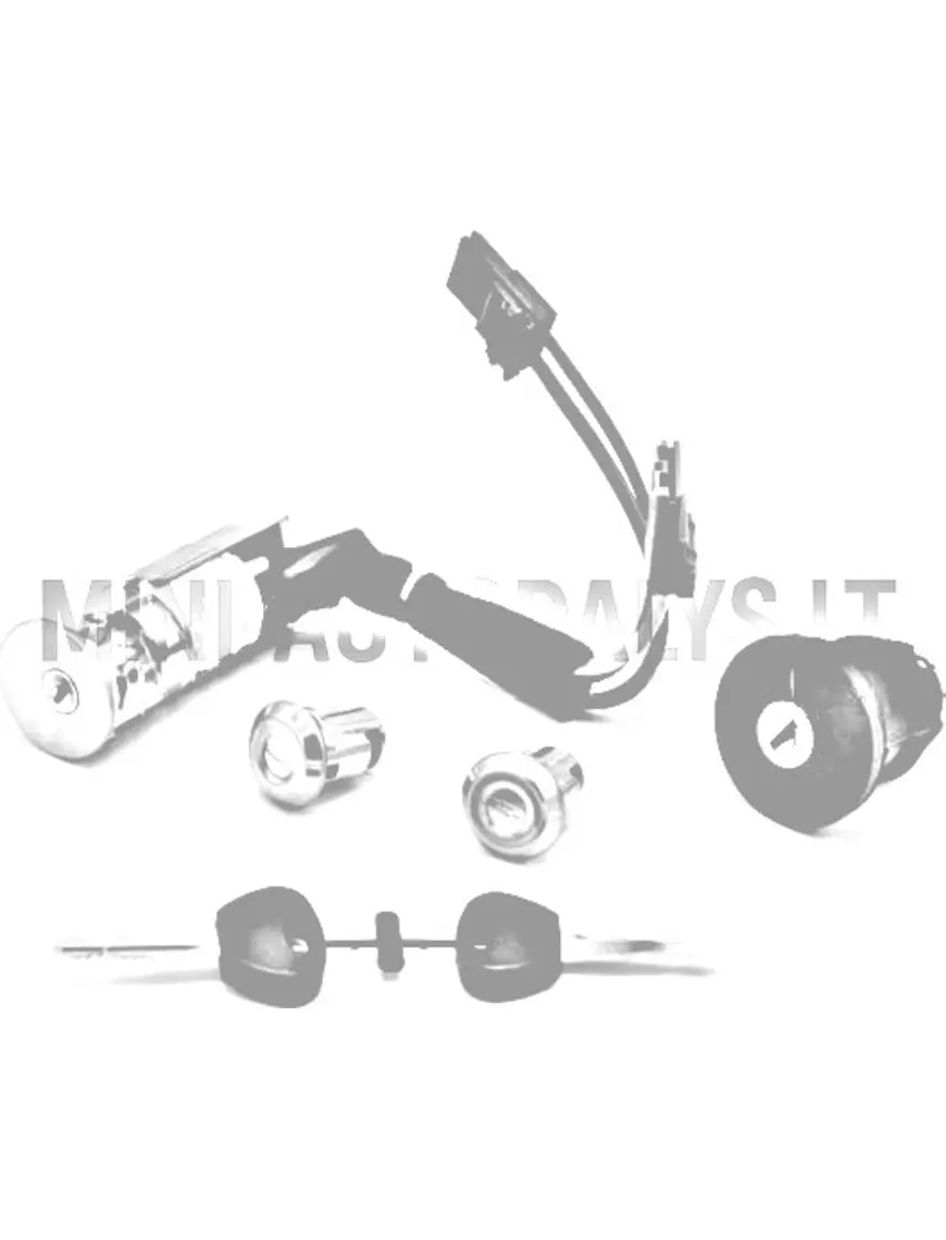 Uždegimo spynelės rinkinys Ligier / Microcar / Due (2 žvakės)