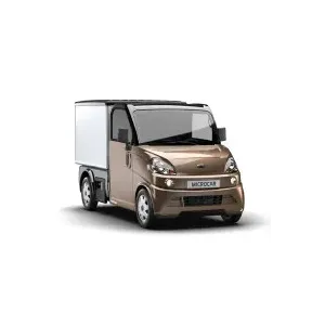 Ligier Flex Dalys Lietuvoje | Atsarginės Dalys | Mini-Autodalys.lt